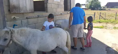 Ecurie Equi Val d'Amour
