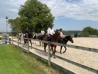 École d'Équitation du Verger