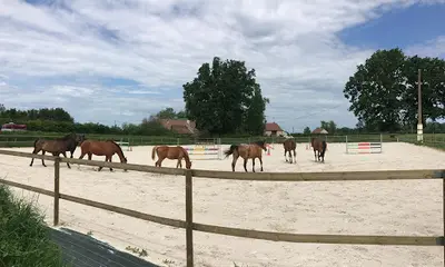 Ecuries de la Bouquetterie