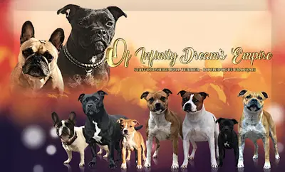 Of Infinity Dream’s Empire