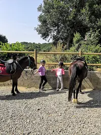 Ferme Equestre de Coat Maudez