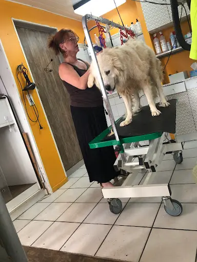 Ô Poil !