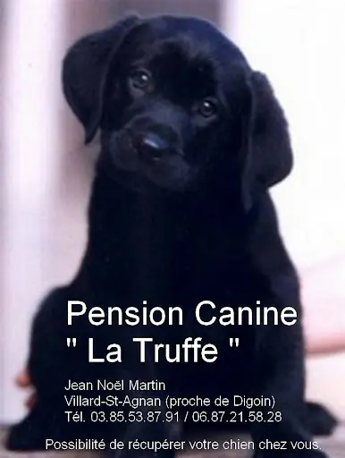 Pension Canine la Truffe