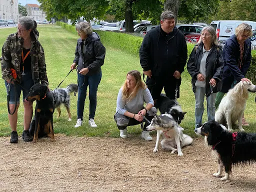 Patrick Éducateur Canin