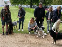 Patrick Éducateur Canin