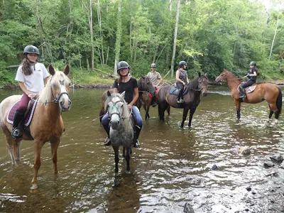 Les Poneys d'Moissons