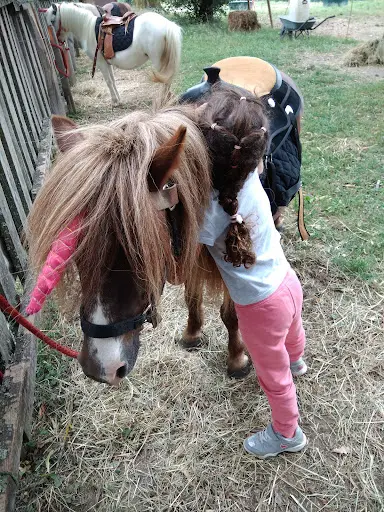 Chasse au Trésor À Dos de Poney Lac d'Aiguebelette