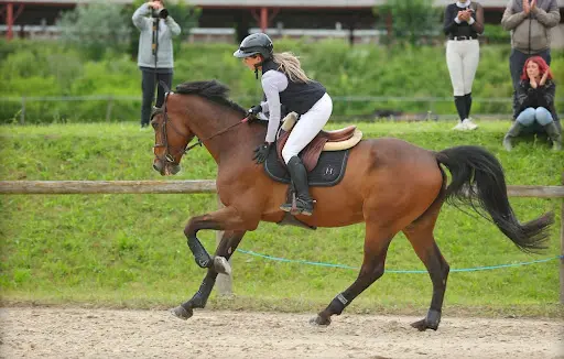 Padd Bourgoin-jallieu Perrin-habitat
