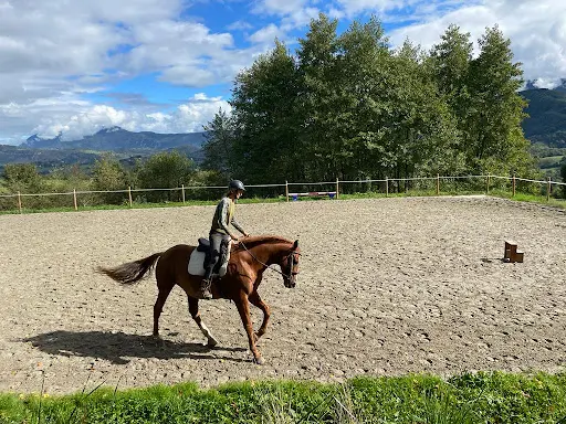 Laure Lugiez, Instructrice d'Équitation