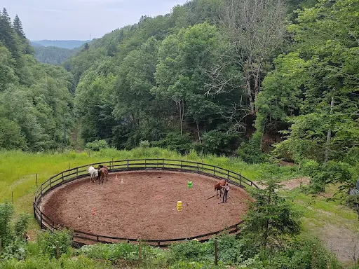 Ferme Éthologique d'Hyppios