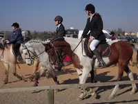 Centre Equestre Poney Club des Costieres