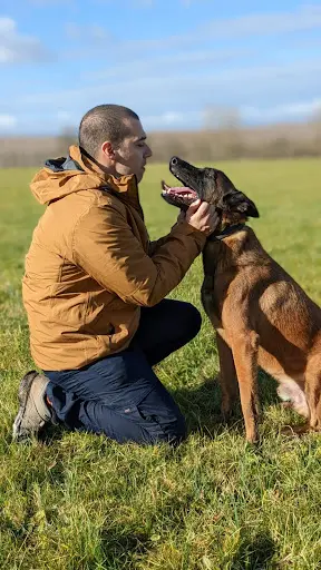 Cohérence Canine - Educateur Canin
