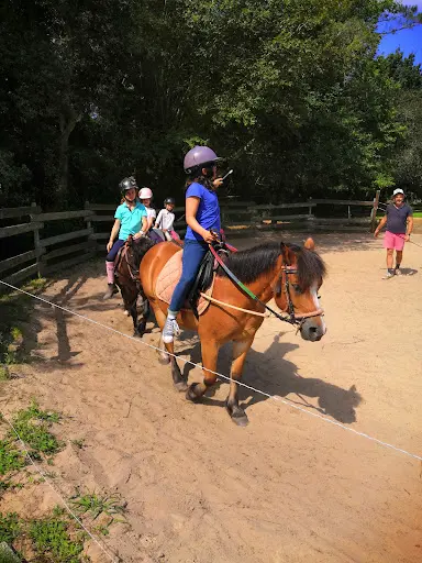 Centre Equestre du Seignanx