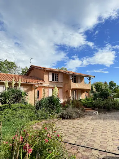 Pension Pour Chiens Blaye - Amy 2 Crème