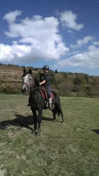 Gîte et Ferme Equestre de Montcodiol Delphine Gourbière