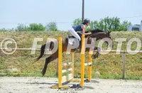 Le Haras d'Alcaou