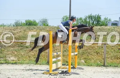 Le Haras d'Alcaou