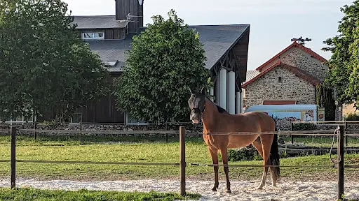 Cesab Ecurie de Propriétaires
