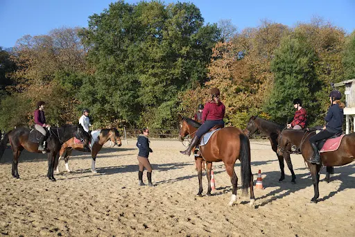 Haras de la Lisière