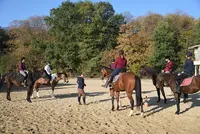 Haras de la Lisière