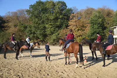 Haras de la Lisière