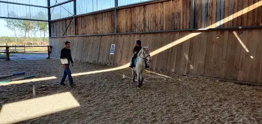 Haras de Piques