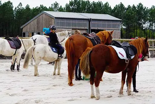 Le Poney-club : Club Équestre À Saint-aubin-de-médoc.
