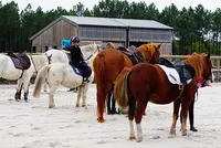 Le Poney-club : Club Équestre À Saint-aubin-de-médoc.