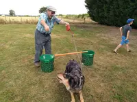 Canis-educ