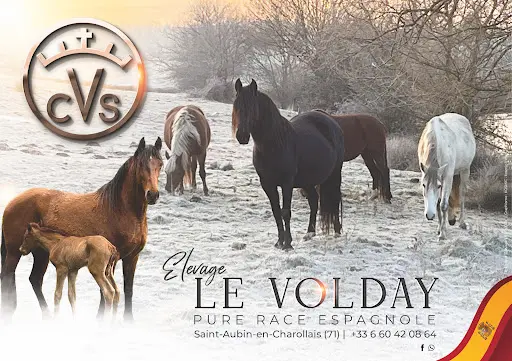 Elevage le Volday