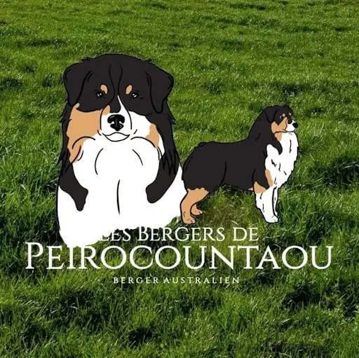 Les Bergers de Peirocountaou