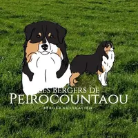 Les Bergers de Peirocountaou