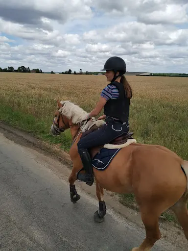 Ferme Pédagogique et Poney Club de Stan