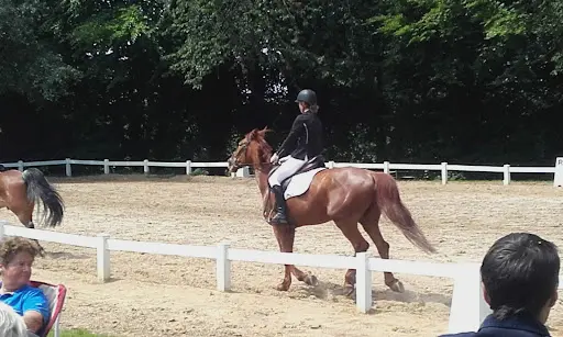 Le Haras des Vertus
