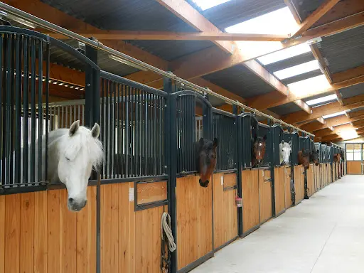 Académie Equestre du Miroir