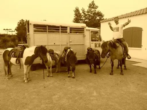 Tagada Poney