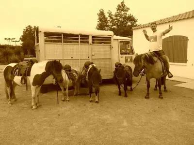 Tagada Poney
