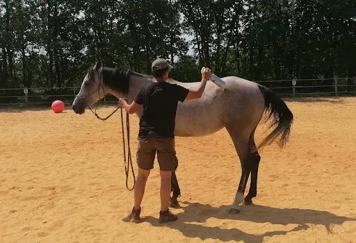 Les 3 E / Equin-ethic-etho