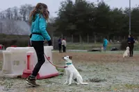 Club Canin de Saint-avold