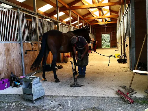 Ecole d'Equitation Saint Avold