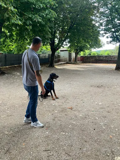 Terrier&cie