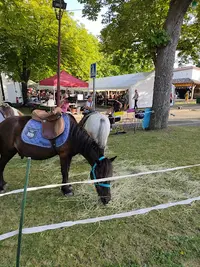 Centre Equestre de Sigbell