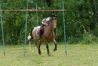 Ferme Equestre de la Grésigne