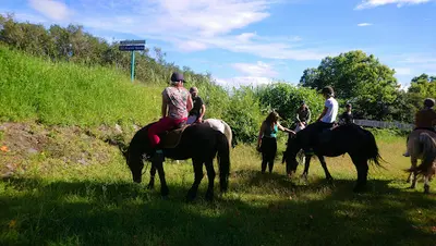 Ferme Équestre du Grand-étang