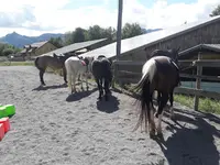 La Ferme Equestre le Rocher