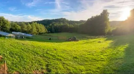 La Foret du Bengal Pension Pour Animaux À Saint Bonnet la Rivière