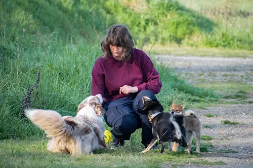 Il Était Une Truffe - Éducation Canine & Sports de Flair