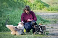 Il Était Une Truffe - Éducation Canine & Sports de Flair