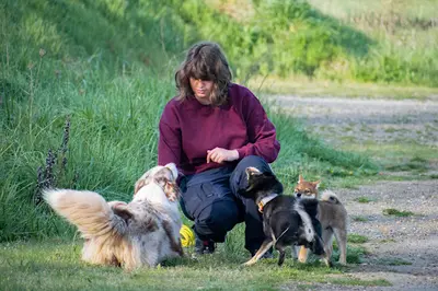 Il Était Une Truffe - Éducation Canine & Sports de Flair