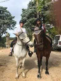 Ecurie du Puits - Corniot Dominique